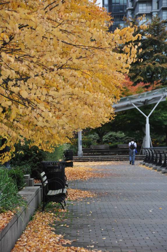 O Outono chega em Vancouver, no Canadá